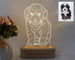 Personalized 3D Photo Lamp With Custom Photo And Text 3D Night Light Gift For Valentines Day Anniversary Birthday Frontier General Hardware