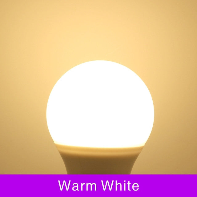 4 Pieces LED Bulbs E27 E14 Set 3W To 20W AC 200 240V SMD2835 Ra85 Warm And Cold White 270 Degree Lifespan 50000 Hours Frontier General Hardware