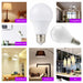 4 Pieces LED Bulbs E27 E14 Set 3W To 20W AC 200 240V SMD2835 Ra85 Warm And Cold White 270 Degree Lifespan 50000 Hours Frontier General Hardware