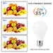4 Pieces LED Bulbs E27 E14 Set 3W To 20W AC 200 240V SMD2835 Ra85 Warm And Cold White 270 Degree Lifespan 50000 Hours Frontier General Hardware