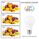 4 Pieces LED Bulbs E27 E14 Set 3W To 20W AC 200 240V SMD2835 Ra85 Warm And Cold White 270 Degree Lifespan 50000 Hours Frontier General Hardware