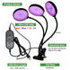5V LED Grow Light USB Phyto Lamp Full Spectrum Fitolampy With Control For Plants Seedlings Flower Indoor Fitolamp Grow Box|LED Grow Lights - Frontier General Hardware