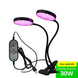 5V LED Grow Light USB Phyto Lamp Full Spectrum Fitolampy With Control For Plants Seedlings Flower Indoor Fitolamp Grow Box|LED Grow Lights - Frontier General Hardware