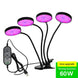 5V LED Grow Light USB Phyto Lamp Full Spectrum Fitolampy With Control For Plants Seedlings Flower Indoor Fitolamp Grow Box|LED Grow Lights - Frontier General Hardware