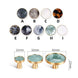 Brass Furniture Handles Elegant Door Knobs and Handles for Cabinet Kitchen Cupboard Drawer Pulls Wall Hanging Hooks Shell Resin|Cabinet Pulls