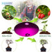 Led Grow Light 30W 50W 100W 150W AC 220V 110V Fitolamp IP65 Waterproof Full Spectrum For Flower Seeding Plant Growing Phyto Lamp|LED Grow Lights - Frontier General Hardware