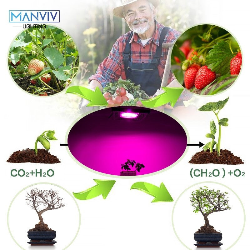 Led Grow Light 30W 50W 100W 150W AC 220V 110V Fitolamp IP65 Waterproof Full Spectrum For Flower Seeding Plant Growing Phyto Lamp|LED Grow Lights - Frontier General Hardware