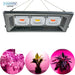 Led Grow Light 30W 50W 100W 150W AC 220V 110V Fitolamp IP65 Waterproof Full Spectrum For Flower Seeding Plant Growing Phyto Lamp|LED Grow Lights - Frontier General Hardware