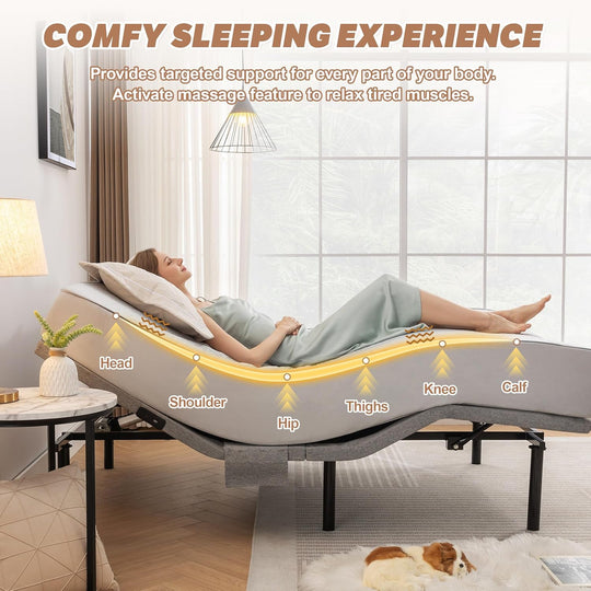 Adjustable Bed Frame Queen,Adjustable Bed Base with Massage,Zero Gravity Electric Bed with Wireless Remote,Head and Foot Incline Frontier General Hardware