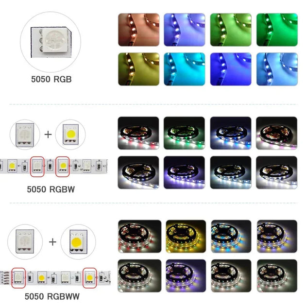 12V LED Strip Light 5m To 20m 5050 RGB RGBW RGBWW Dimmable Flexible Ribbon Tape With Smart WiFi App Controller And Alexa Frontier General Hardware