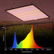 LED Grow Light Full Spectrum Phyto Lamp AC85 240V 40W For Indoor Grow Tent Plants Growth Light Frontier General Hardware