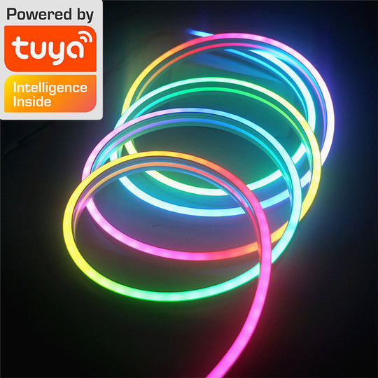 10M LED Neon Strip Lights Waterproof RGBIC Neon Rope Lights WiFi Flexible Tape With Chasing Effect Works With Alexa Tuya Frontier General Hardware