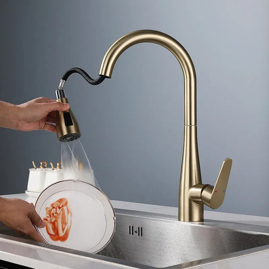 Brushed Gold Pull Out Kitchen Faucet SUS304 Stainless Steel Sink Faucet 360 Degree Rotation Mixer Tap Frontier General Hardware