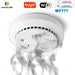 Wifi Carbon Monoxide Detector Co Smoke Sensor Smart Home Security Tuya Smart Life App Alexa Google Home IFTTT|Carbon Monoxide Detectors