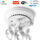 Wifi Carbon Monoxide Detector Co Smoke Sensor Smart Home Security Tuya Smart Life App Alexa Google Home IFTTT|Carbon Monoxide Detectors